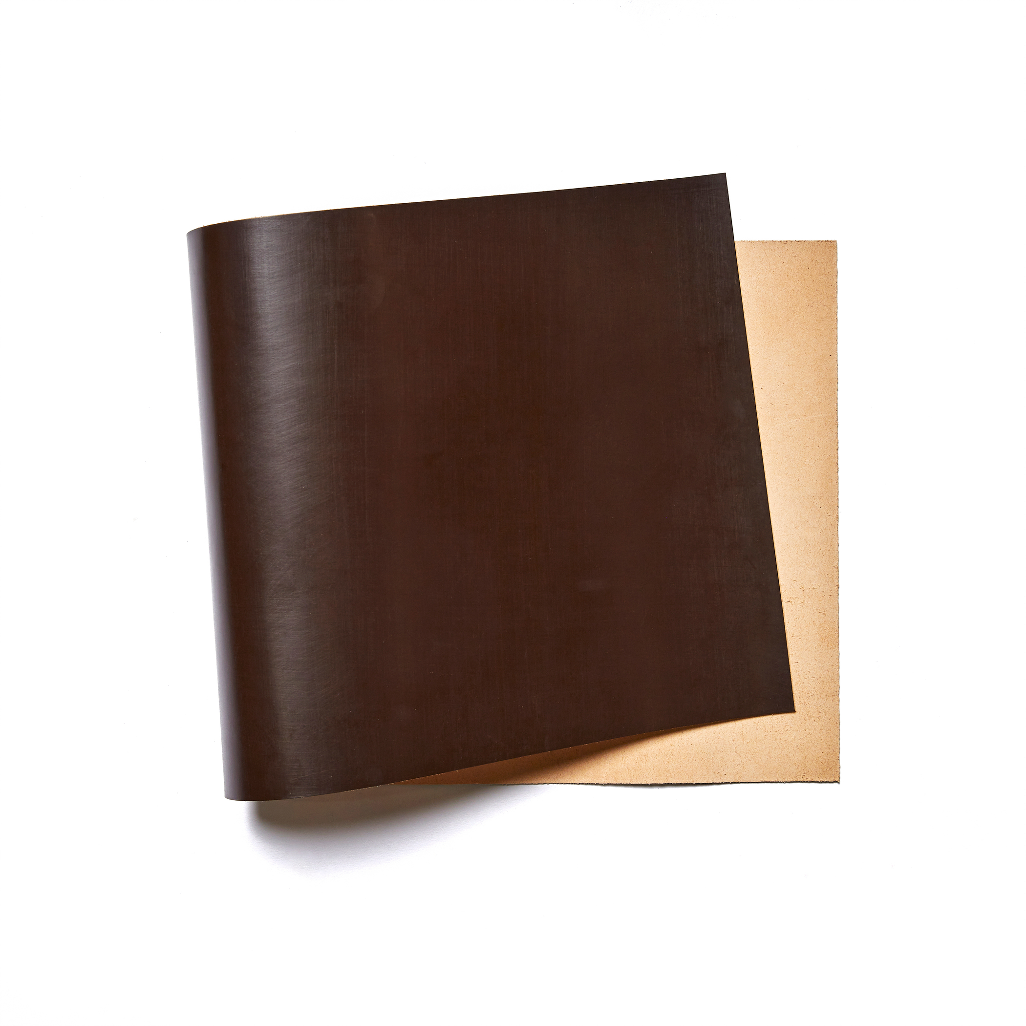 388-buckleguy-swatch-choco-181.jpg