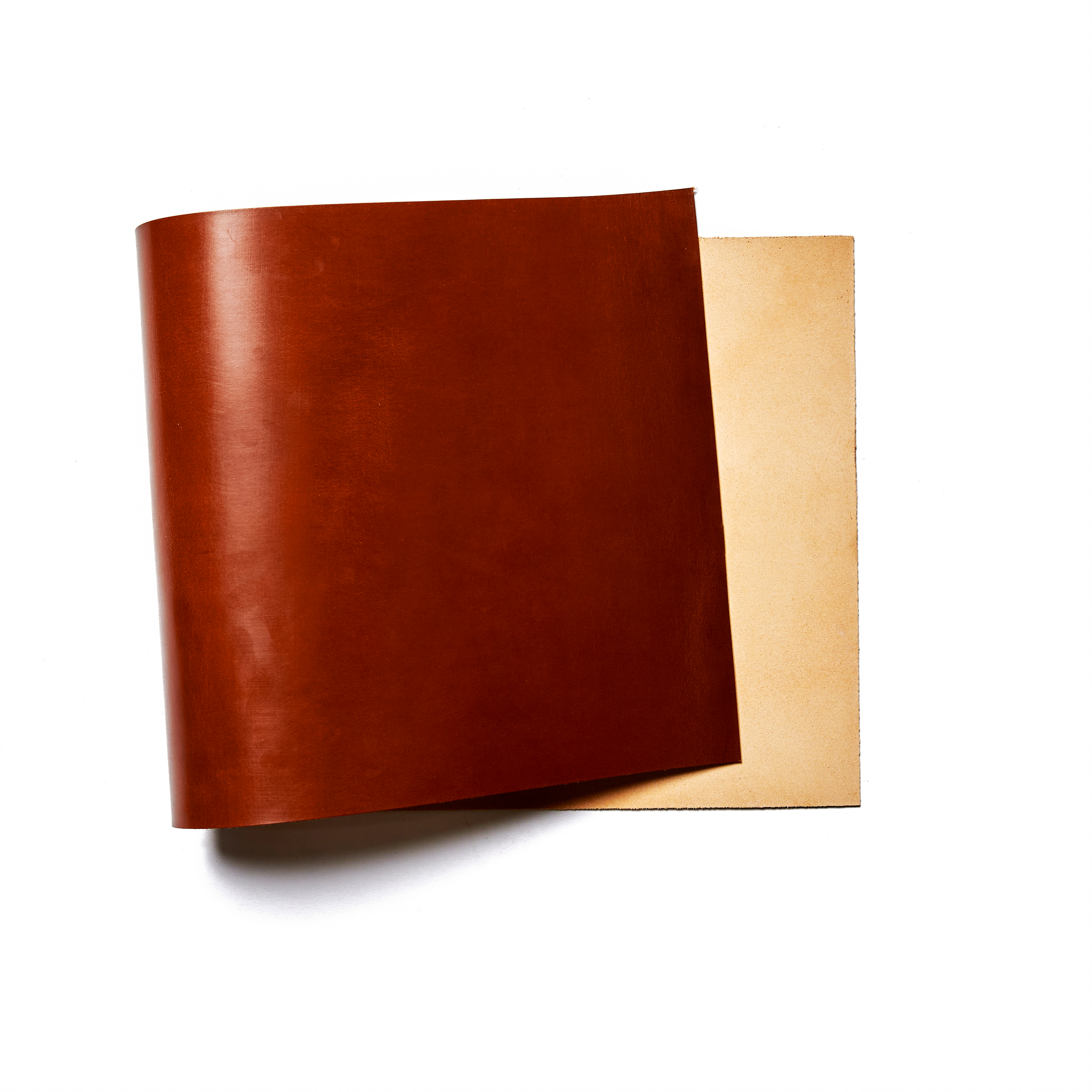 Sedgwick English Bridle Leather, Panel, Hazel - Buckleguy.com