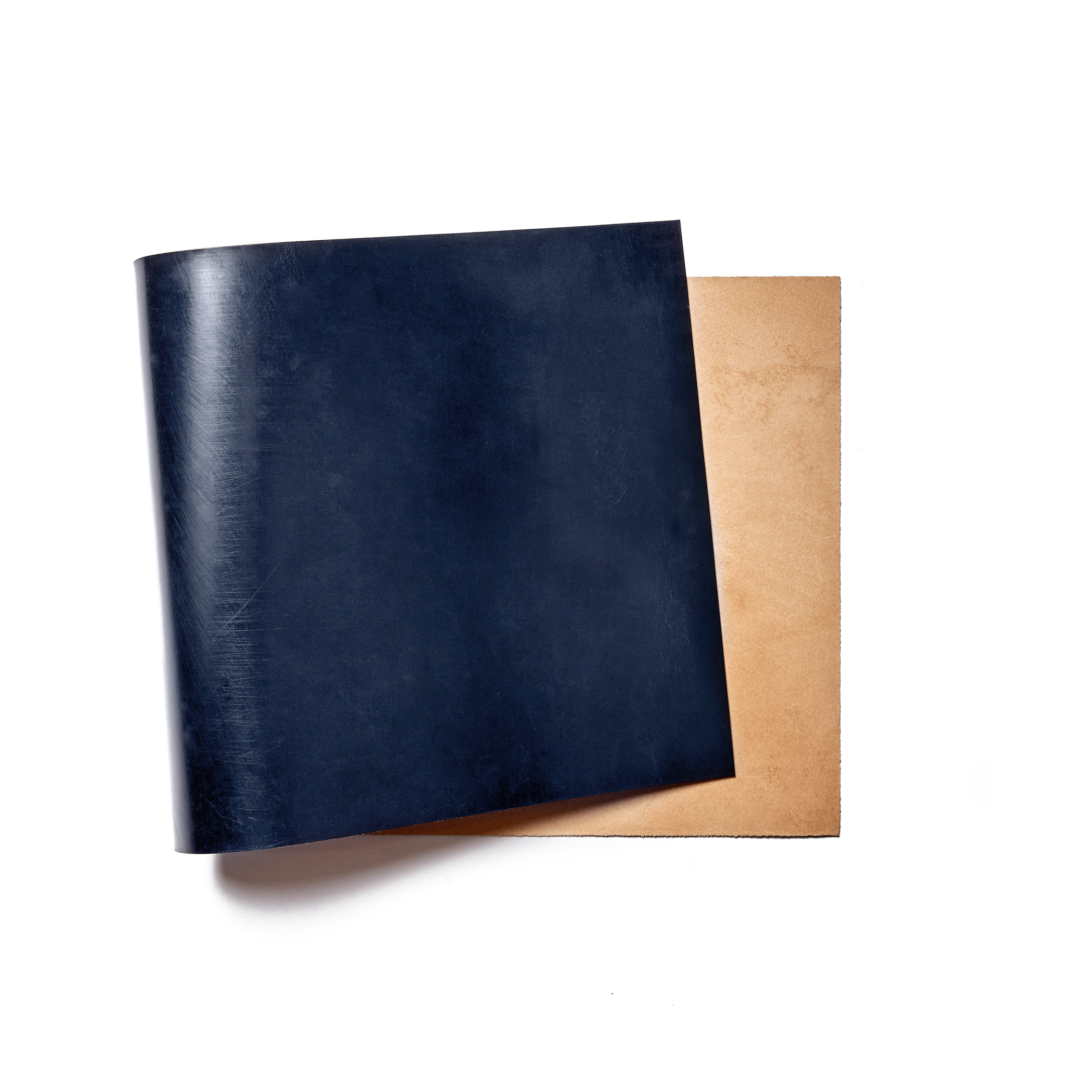 388-buckleguy-swatch-navy-web-