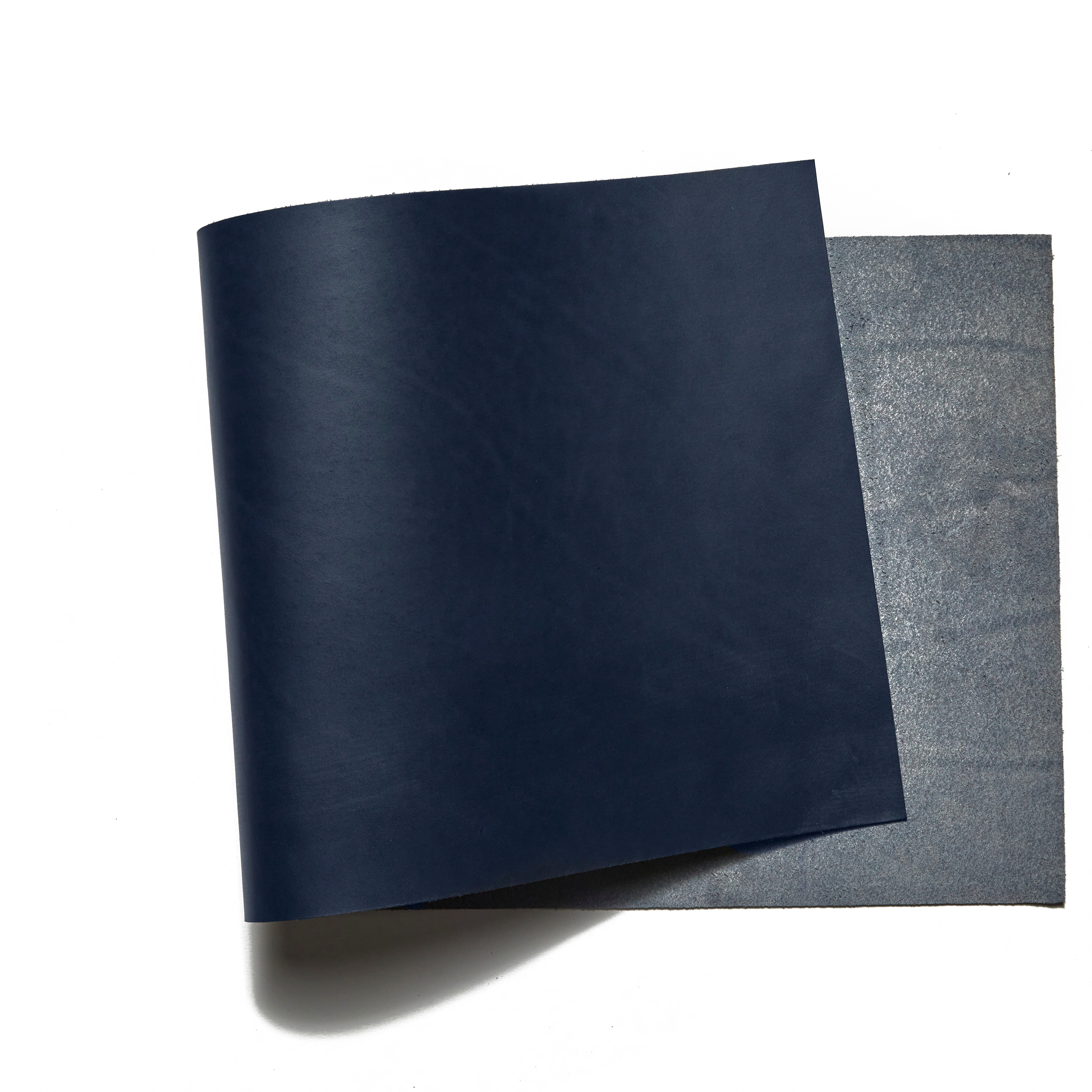 398-buckleguy-volpi-panels-