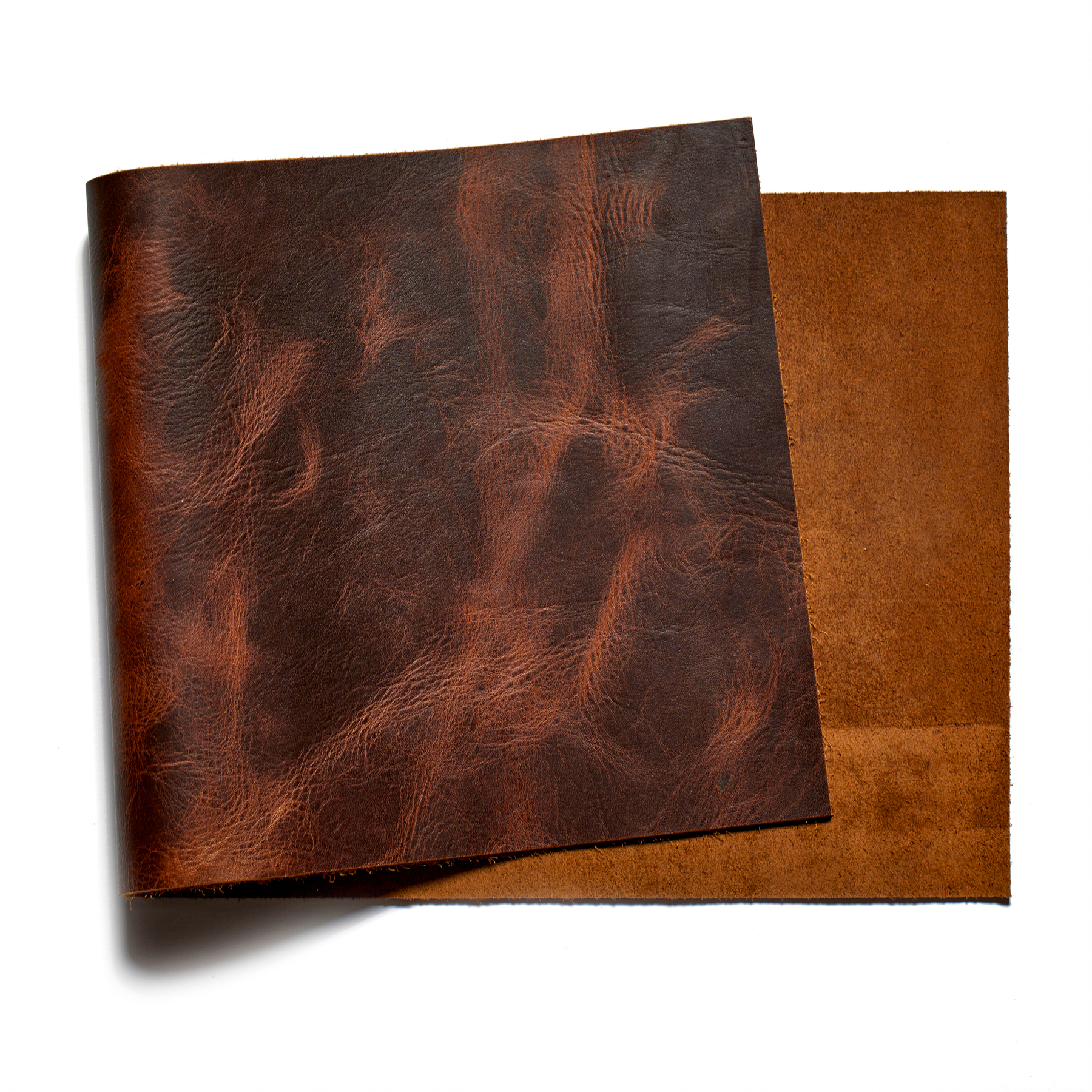 Tortoise タートス Standards Newbury Leathers, Tortoise, Panel, Bourbon Brown - Buckleguy.com