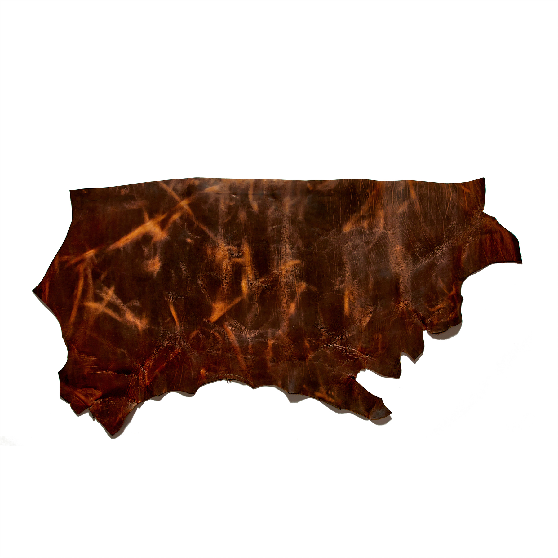 newbury-leathers-tortoise-side