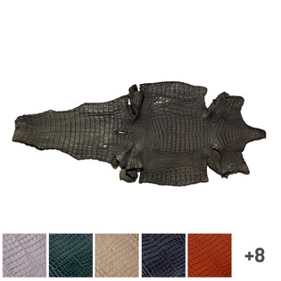 Argentine Caiman Skin, Exotic Leather