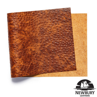 Newbury Leathers, Ostrich Embossed, Panel, Cognac