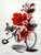 Oops - Swiss Image Bicycle Poster Oops - Swiss Image Bicycle Poster