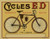 Cycles ED Poster Cycles ED Poster