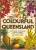 Colourful Queensland - Vintage Travel Poster Prints Colourful Queensland - Vintage Travel Poster Prints