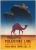 Palestine Line - Vintage Travel Poster Prints