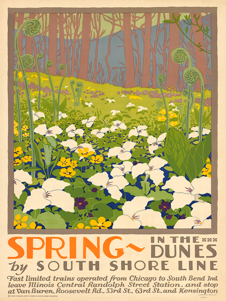 Spring in the Dunes Vintage Poster Prints