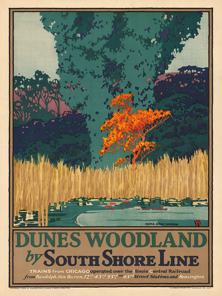 Dunes Woodlands
