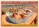 The Seven Wild Wheel Wonders Forepaugh Bicycle Circus Poster