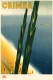 Crimea, Ukraine - Vintage Poster Prints