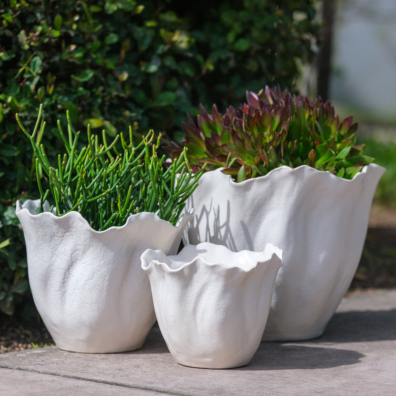 Flora Planters -Set 3