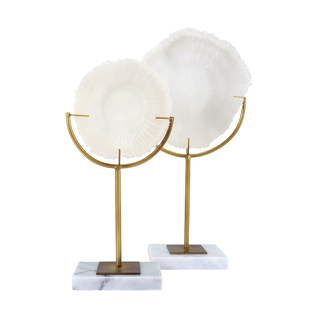 Caymen Coral Sculptures -Set 2