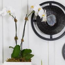 Aylnn Wall Disks -Set 3