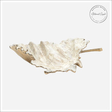 Casdia Tray Casdia Tray