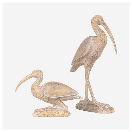 Catalina Birds -Set 2 Catalina Birds -Set 2