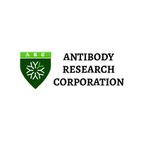 Antibody Research Corporation
