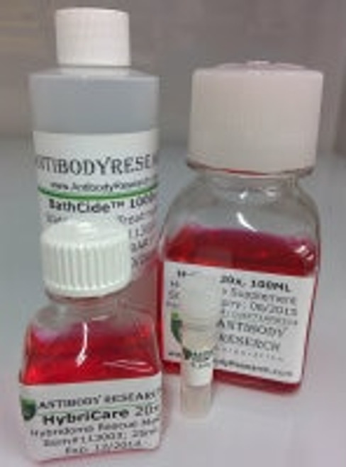 Phleomycin Solution 1000x, Cell Culture Ready