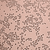 P388D1 Cell Line (Mouse monocyte/macrophage cells)