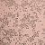 HeLa Cell Line (Human cervical carcinoma)