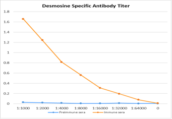 111324-desmosine.png