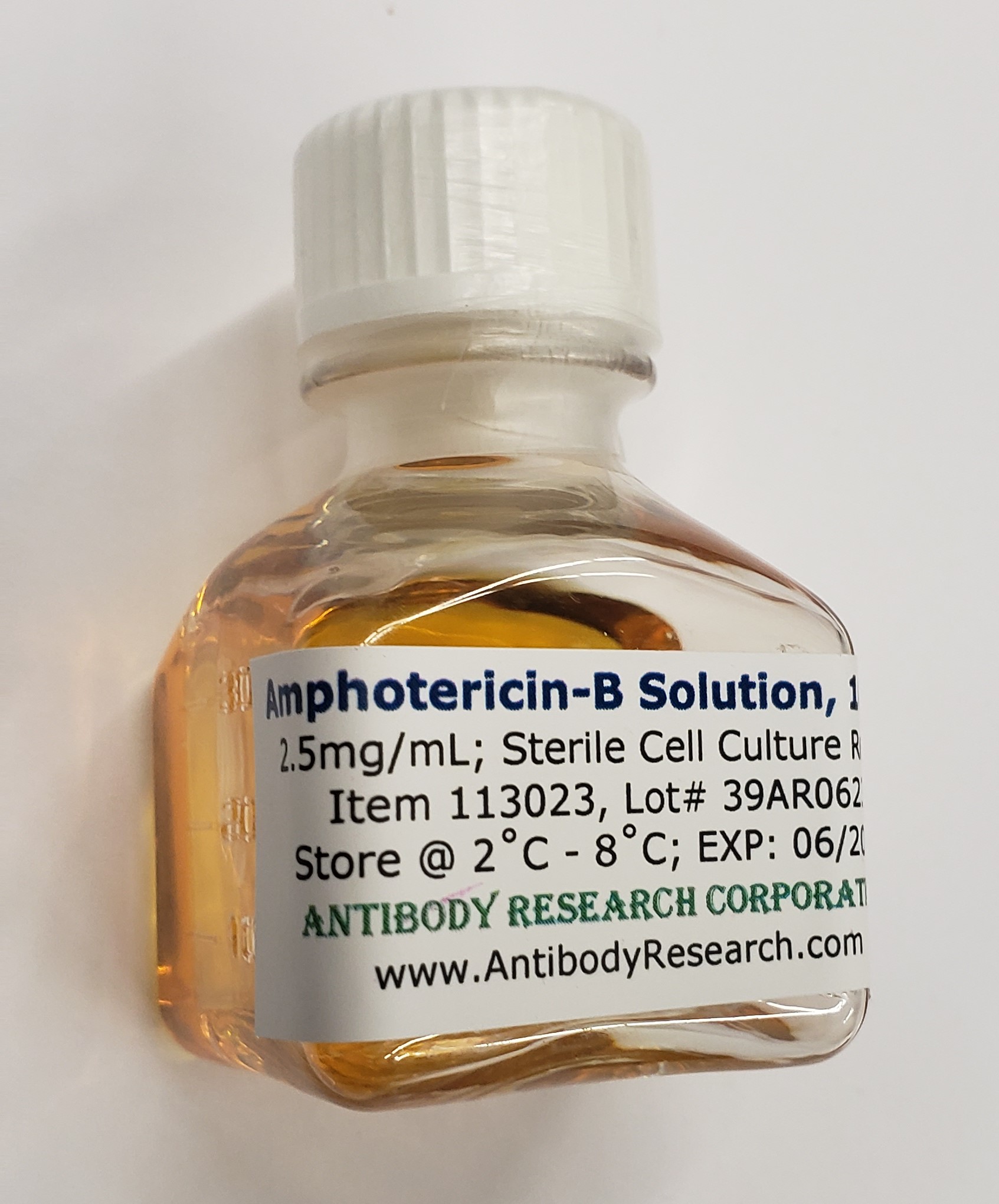 amphotericin-b.jpg