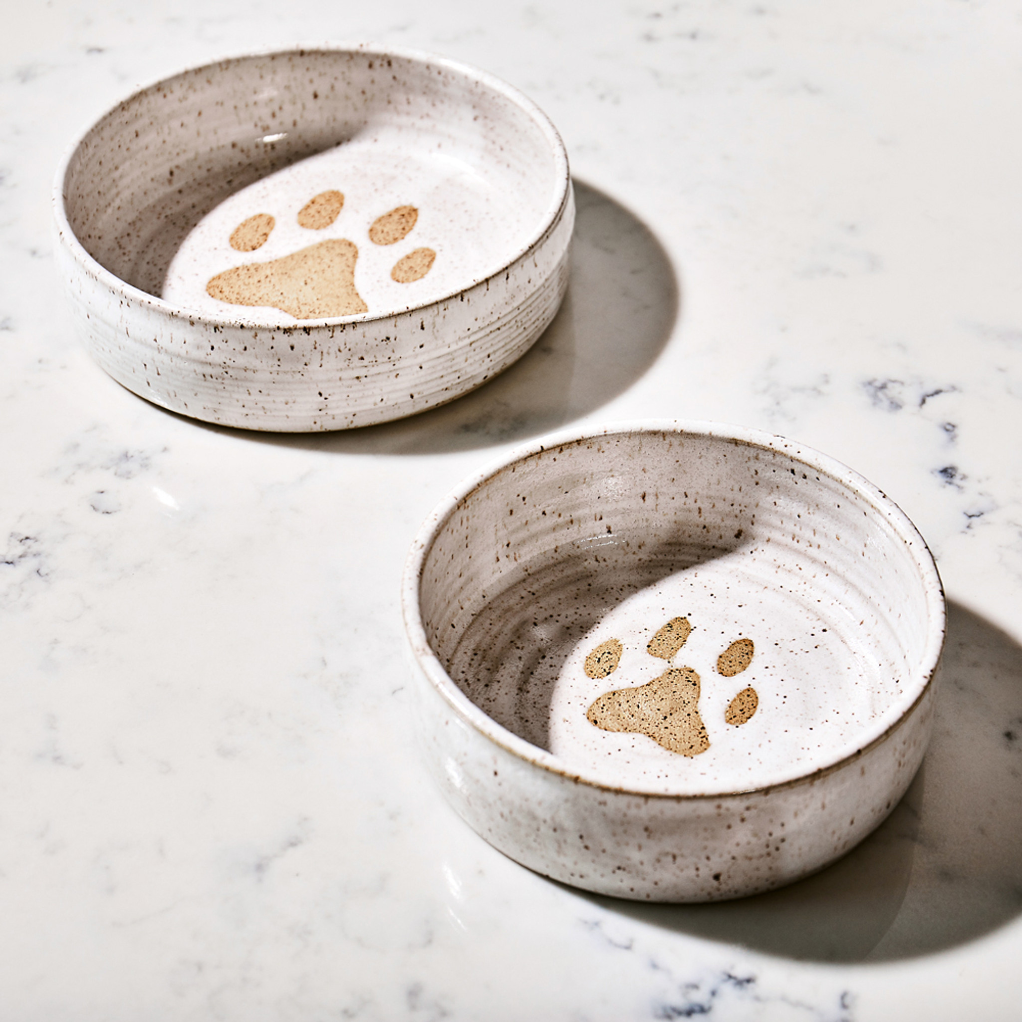 Ceramic Dog Bowl by Mollie Jenkins 