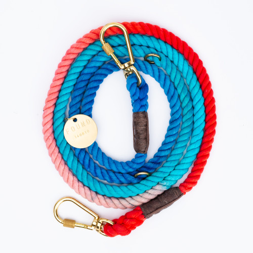 Sweet Pea Ombre Dog Leash by Found My Animal