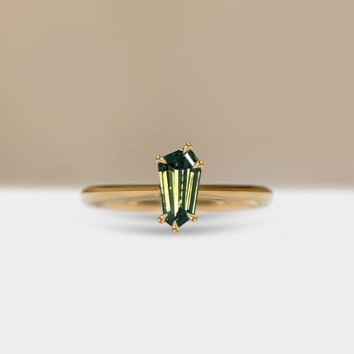 S826-CELINE-YG-NVST3639.jpg