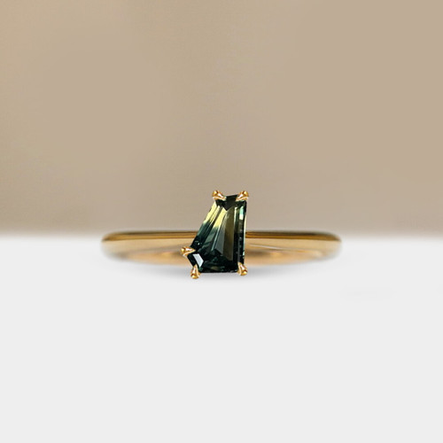 S826-CELINE-YG-NVST3637.jpg