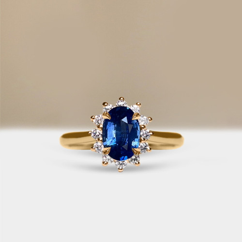 S832-ALEXANDRAR-YG-NVST3729.jpg