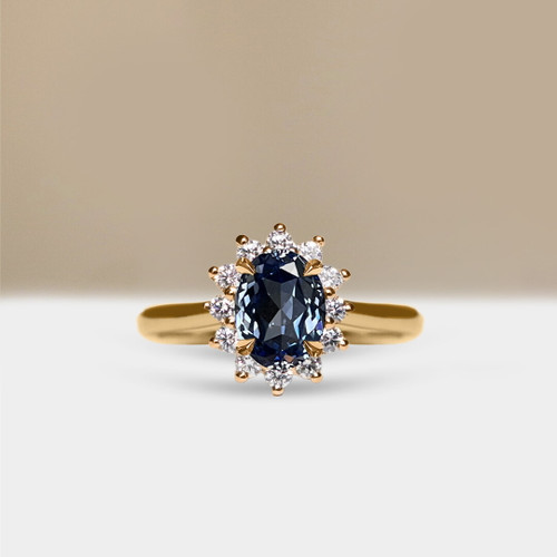 S832-ALEXANDRAR-YG-NVSTL3714.jpg