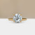 S826-CELINE-YG-NVST550.jpg