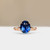 S822-ARIA-RG-NVST3610.jpg