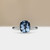 S806-ALICE-WG-NVST3299.jpg