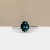 S826-CELINE-WG-NVSTL3600.jpg