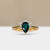 S818-IRIS-YG-NVSTEL3677.jpg