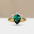 S818-IRIS-YG-NVSTEL3674.jpg