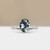 S804-VICTORIA-WG-NVST3750.jpg
