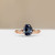 S822-ARIA-RG-NVSTL3714.jpg