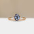 S811-FAYER-RG-NVST3838.jpg