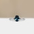 S822-ARIA-WG-NVST3843.jpg