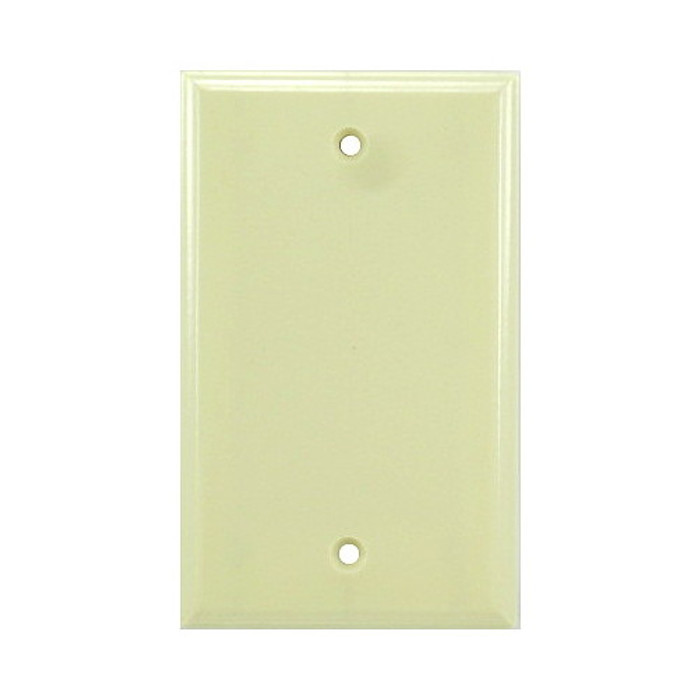 Single Blank Ivory Plate