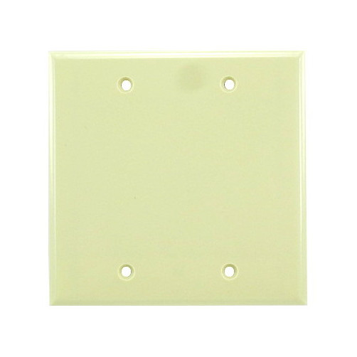 2-Gang Blank Ivory Plate