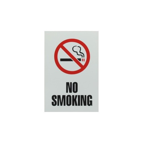 9" X 6" "No Smoking" Sticker