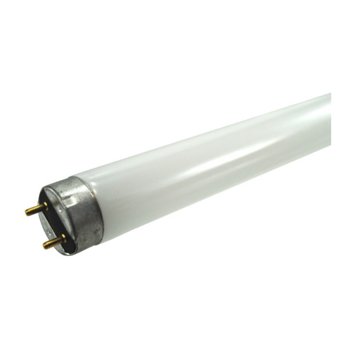 F96 T8 Daylight Fluorescent Bulb