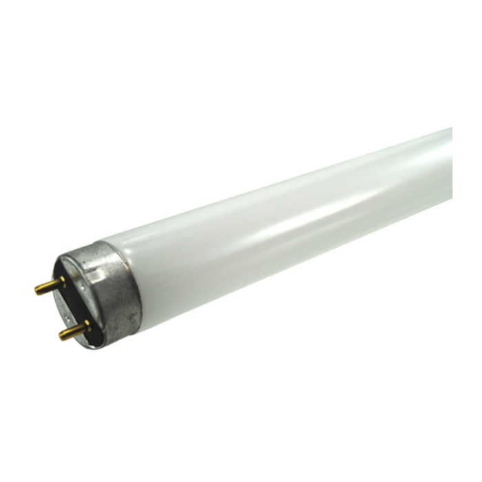 F96 T8 Daylight Fluorescent Bulb