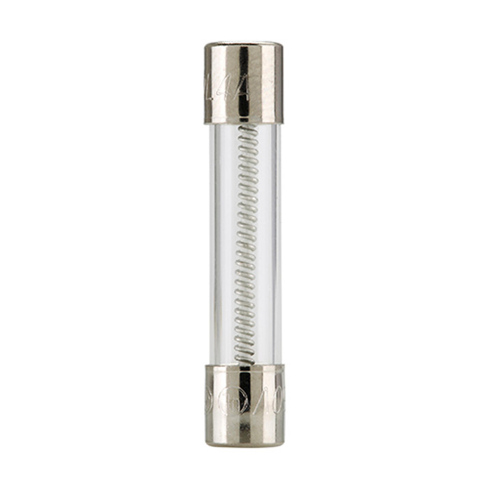 2 Amp Slo-Blo MDL Fuse (250 Volt)