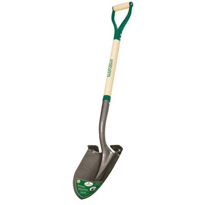 Economy D-Handle Round Point Shovel